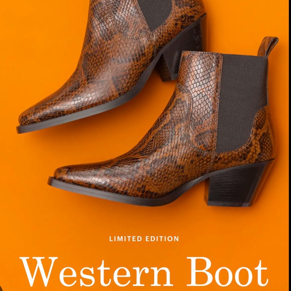 Everlane Brown Snake Western Boot
